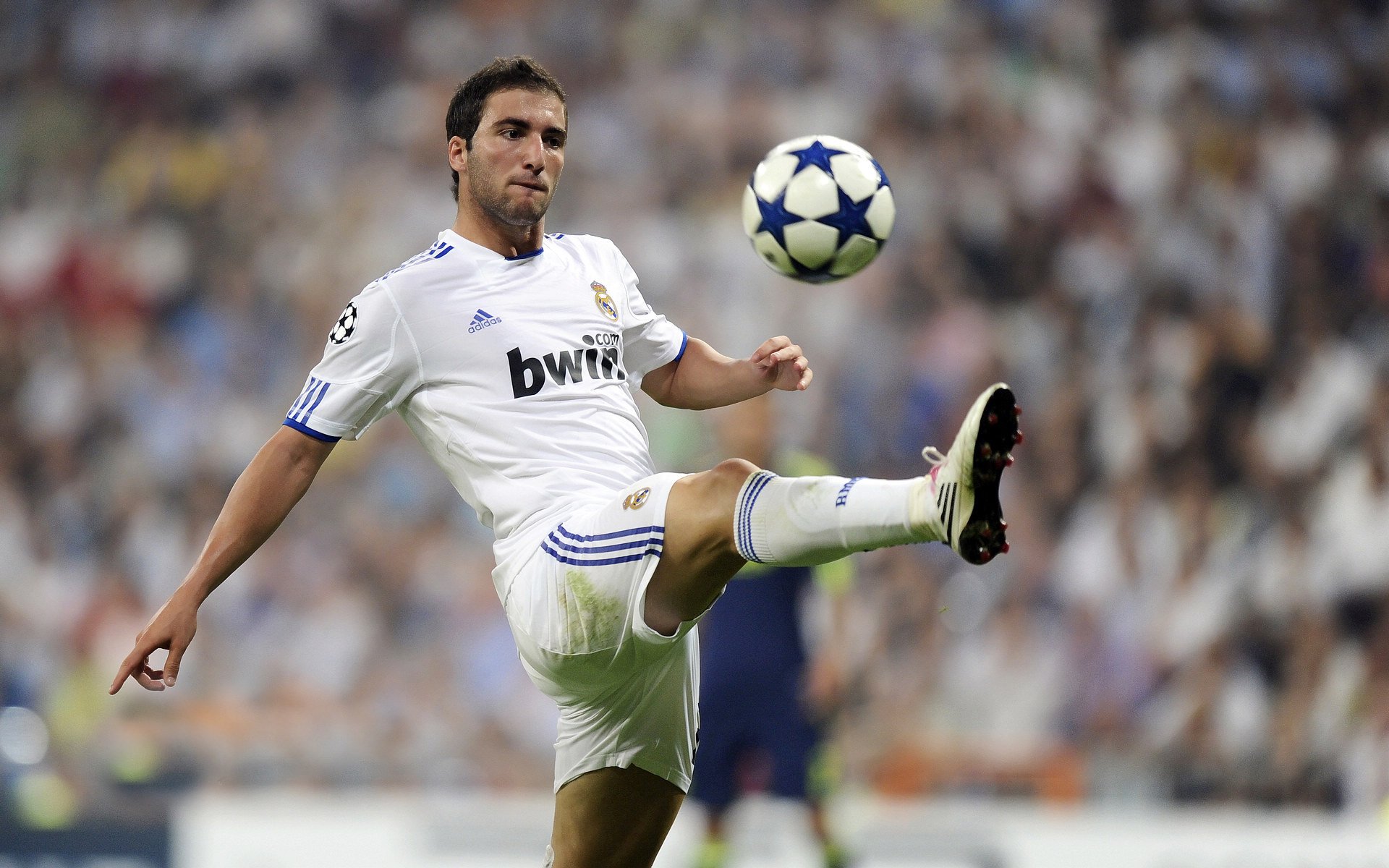 爱游戏资讯-绿色足球产业链不断完善，从原材料到装备实现全链条绿色生产，绿色标志的足球资讯app